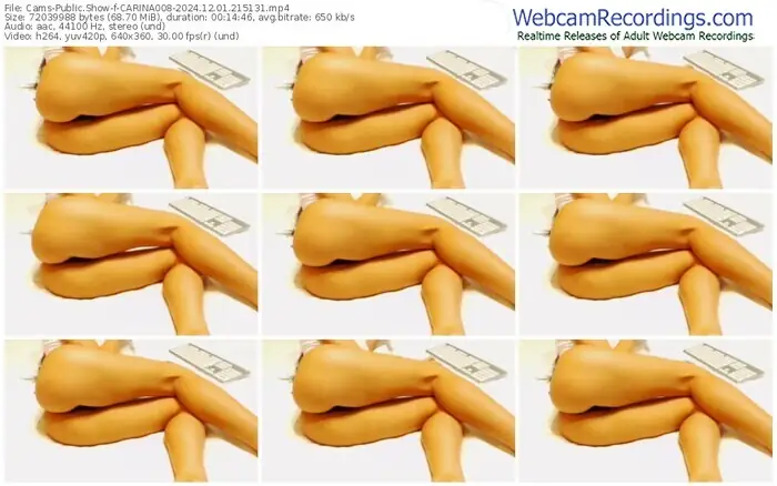 2024/12/01/cams-carina008-21-51-31