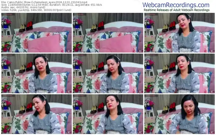 2024/12/01/cams-chameleon_eyes-23-10-43