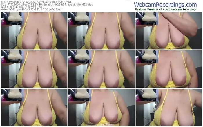 2024/12/01/cams-zoe_hot-02-53-18