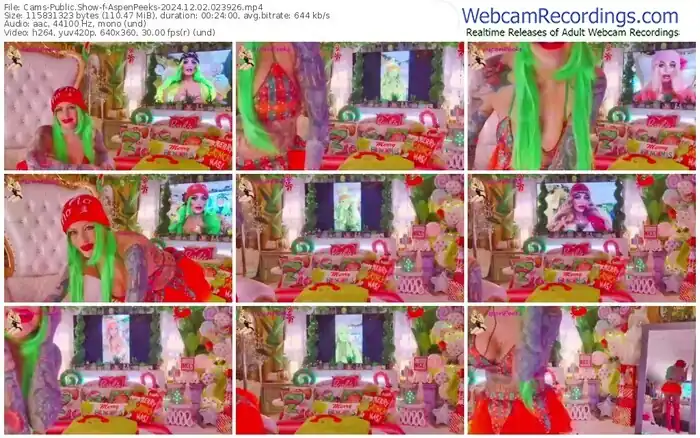 2024/12/02/cams-aspenpeeks-02-39-26