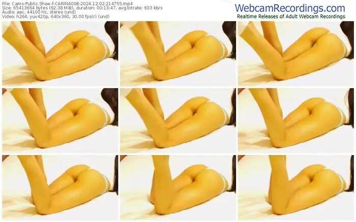 2024/12/02/cams-carina008-21-47-55