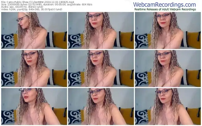 2024/12/02/cams-cyberbbw-18-08-25