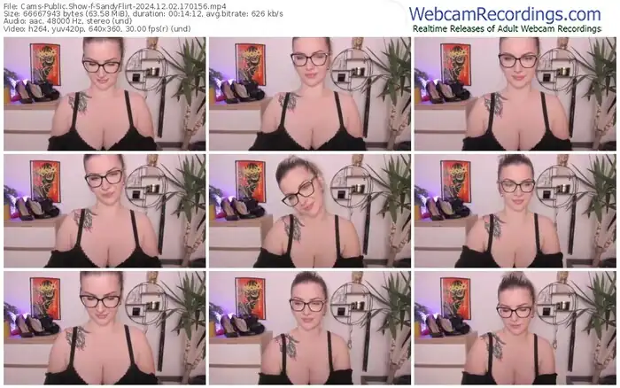 2024/12/02/cams-sandyflirt-17-01-56