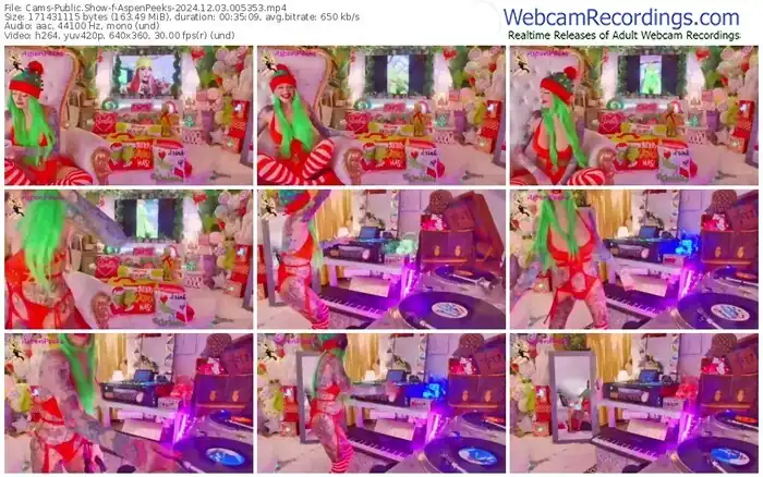 2024/12/03/cams-aspenpeeks-00-53-53