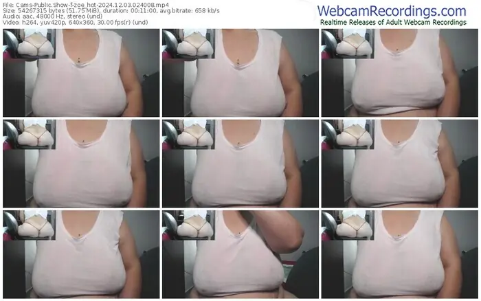 2024/12/03/cams-zoe_hot-02-40-08