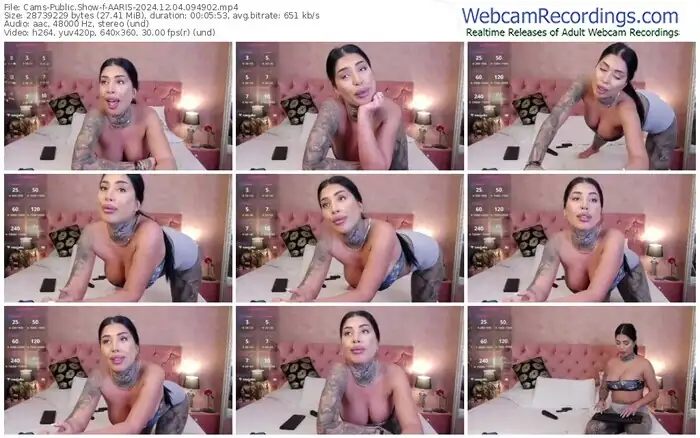 2024/12/04/cams-aaris-09-49-02