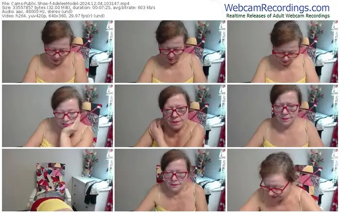 2024/12/04/cams-adeleemodel-10-31-47