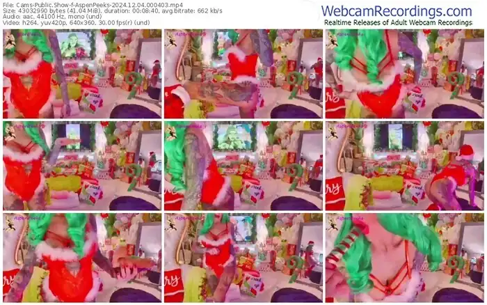 2024/12/04/cams-aspenpeeks-00-04-03