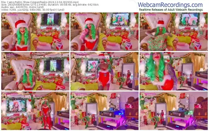 2024/12/04/cams-aspenpeeks-00-29-30