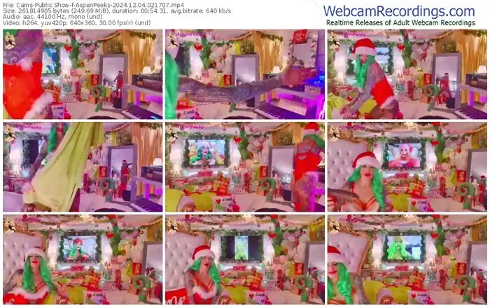 2024/12/04/cams-aspenpeeks-02-17-07