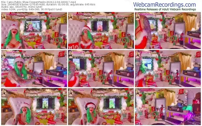 2024/12/04/cams-aspenpeeks-04-09-17