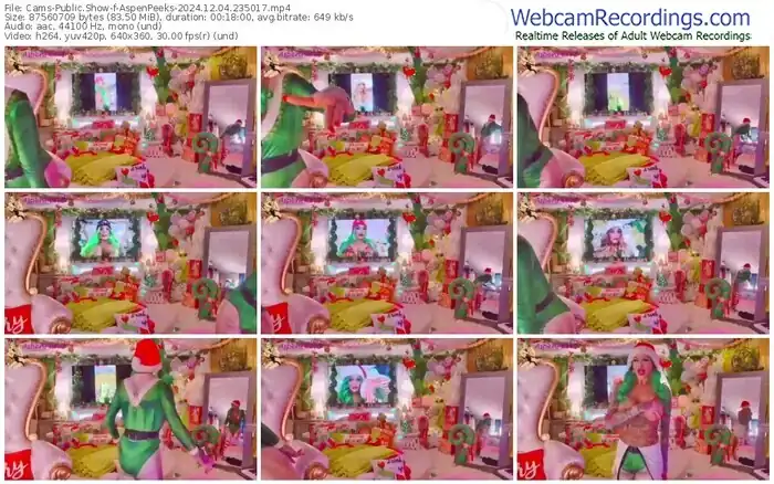 2024/12/04/cams-aspenpeeks-23-50-17
