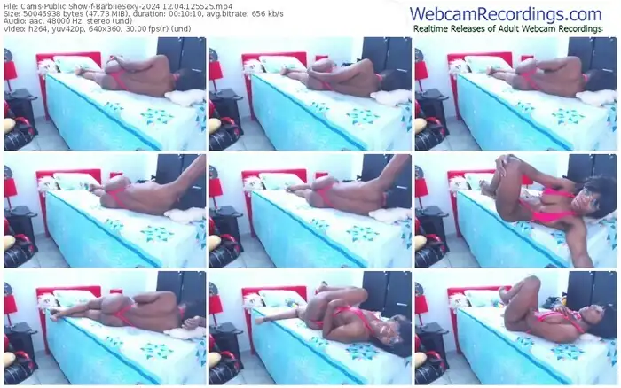 2024/12/04/cams-barbiiesexy-12-55-25