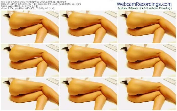 2024/12/04/cams-carina008-21-44-13