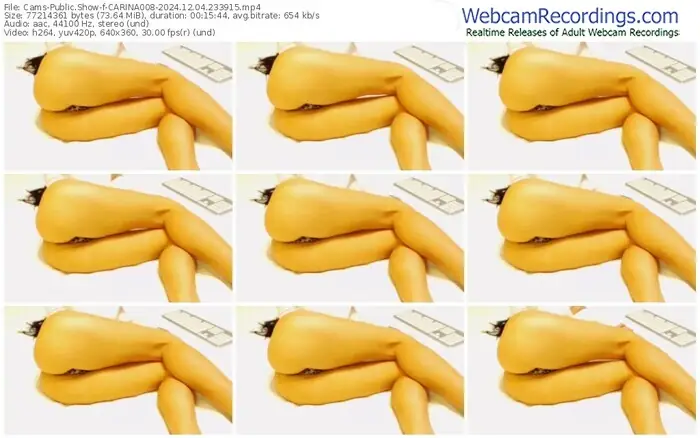 2024/12/04/cams-carina008-23-39-15