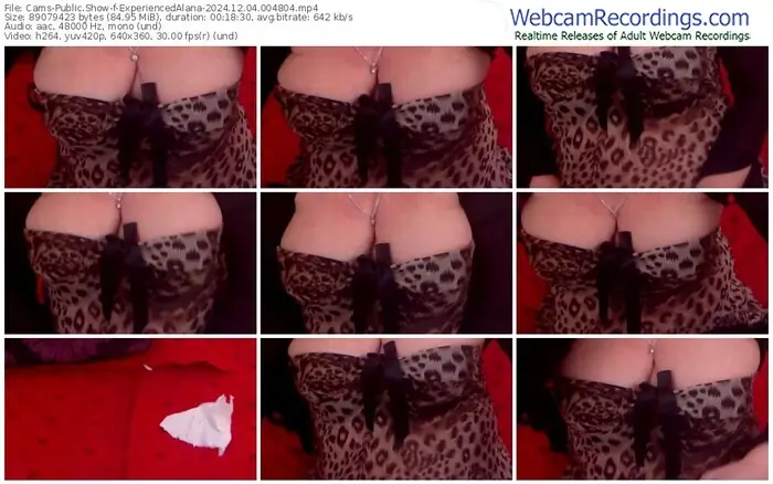 2024/12/04/cams-experiencedalana-00-48-04