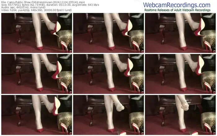 2024/12/04/cams-mistressvivian-23-51-41