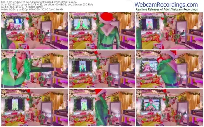 2024/12/05/cams-aspenpeeks-00-52-14