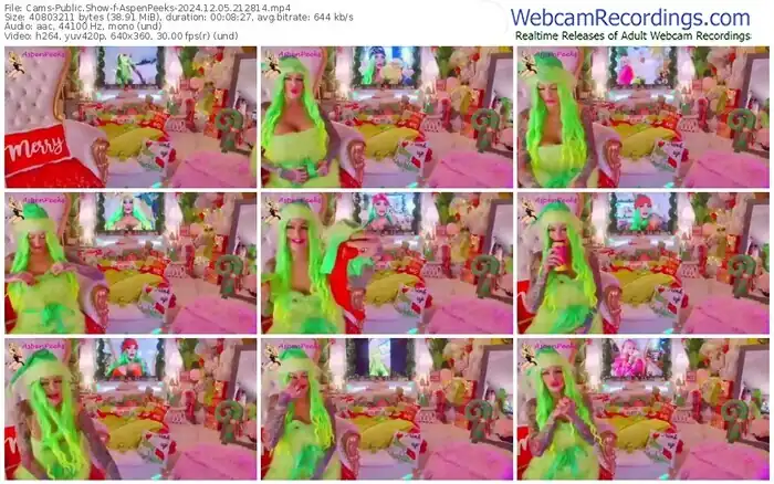 2024/12/05/cams-aspenpeeks-21-28-14