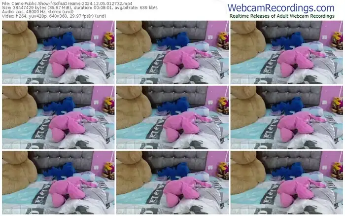2024/12/05/cams-sofiiadreams-01-27-32