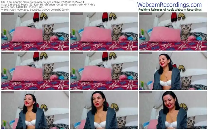 2024/12/05/cams-chameleon_eyes-00-59-15