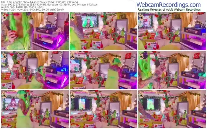 2024/12/06/cams-aspenpeeks-00-12-32