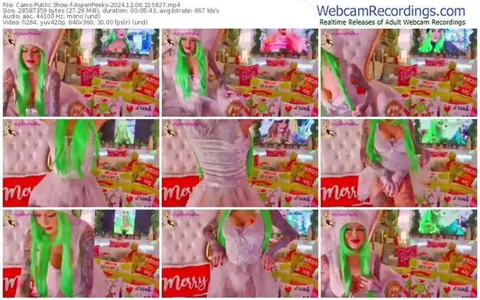 2024/12/06/cams-aspenpeeks-21-58-27