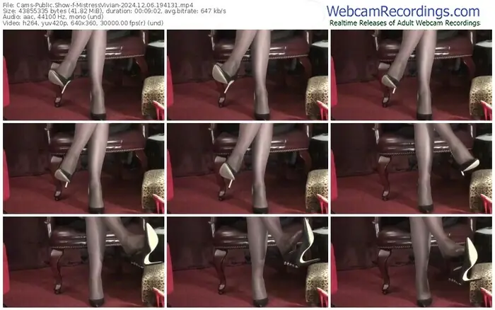 2024/12/06/cams-mistressvivian-19-41-31