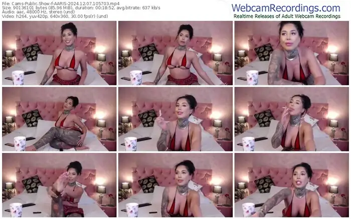 2024/12/07/cams-aaris-10-57-03