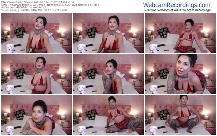 2024/12/07/cams-aaris-11-19-02