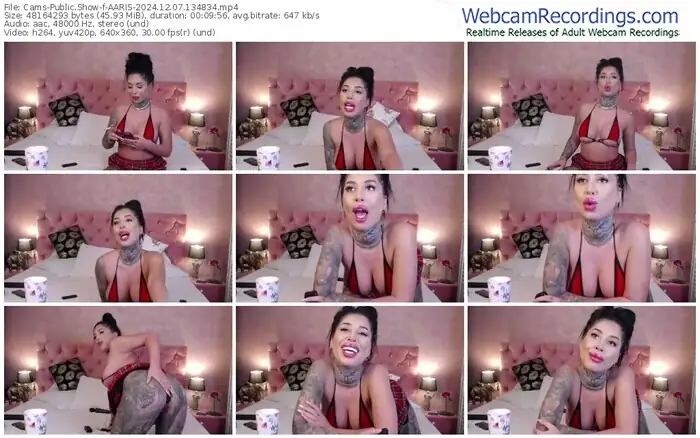 2024/12/07/cams-aaris-13-48-34