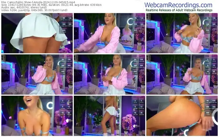 2024/12/09/cams-amida-04-56-15