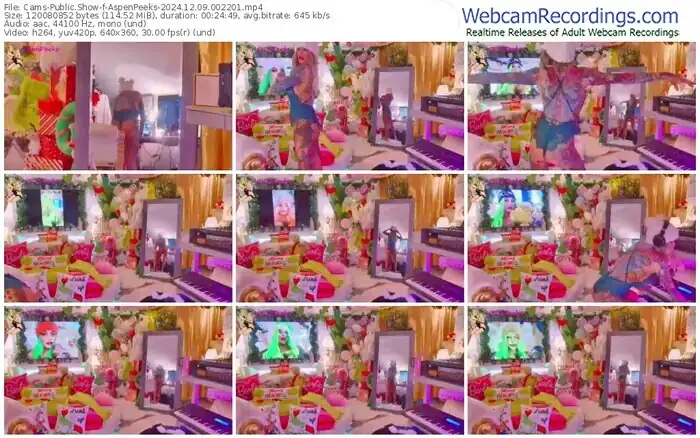2024/12/09/cams-aspenpeeks-00-22-01