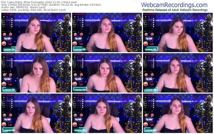 2024/12/09/cams-vinnasky-17-46-14