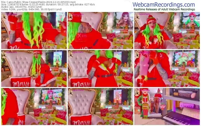 2024/12/10/cams-aspenpeeks-00-50-33