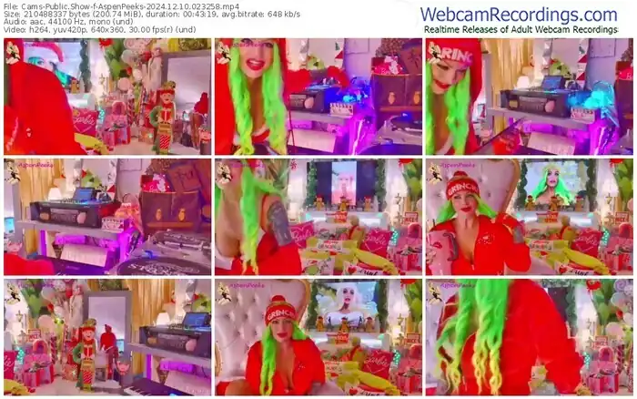 2024/12/10/cams-aspenpeeks-02-32-58