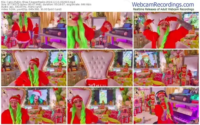 2024/12/10/cams-aspenpeeks-03-26-03