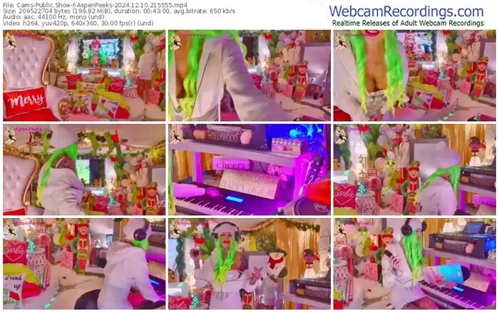 2024/12/10/cams-aspenpeeks-21-55-55