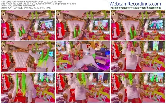 2024/12/10/cams-aspenpeeks-22-50-43