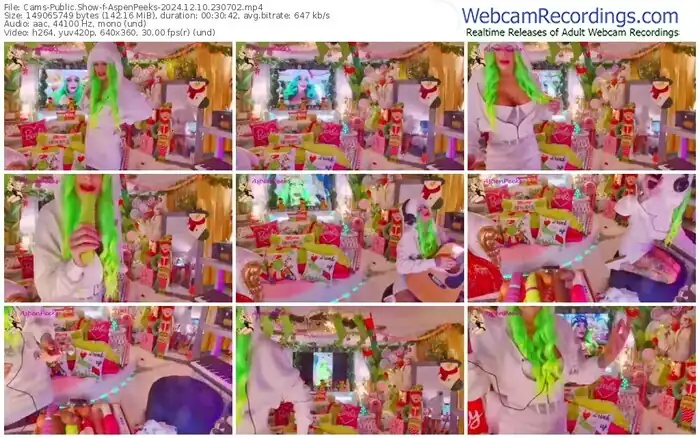 2024/12/10/cams-aspenpeeks-23-07-02