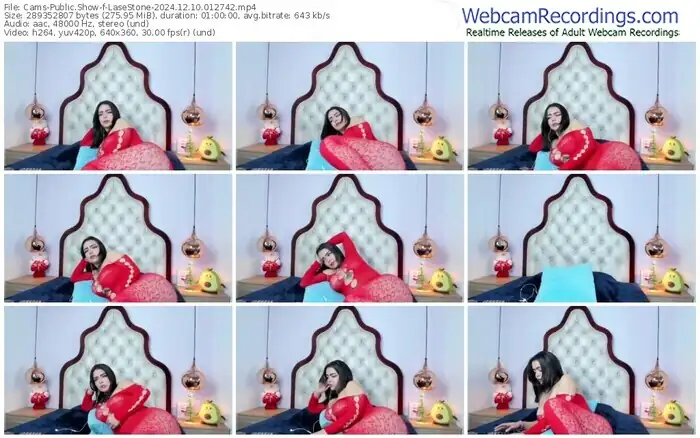 2024/12/10/cams-lasestone-01-27-42