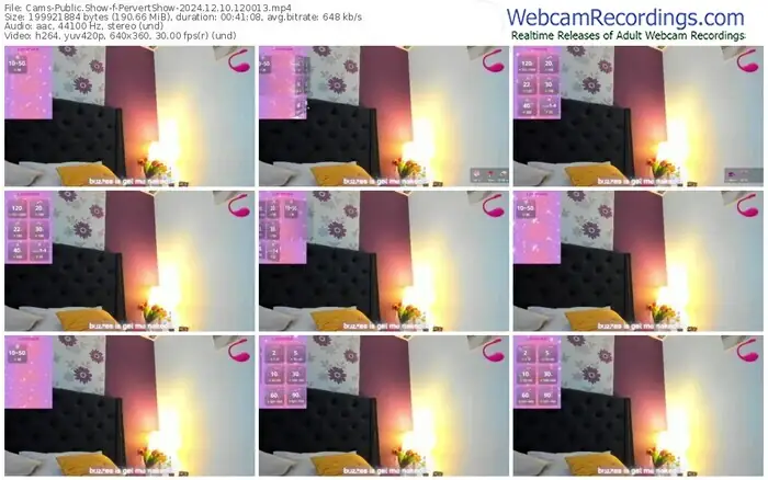 2024/12/10/cams-pervertshow-12-00-13