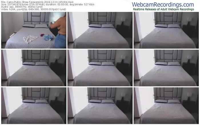 2024/12/10/cams-powerpink-19-53-04