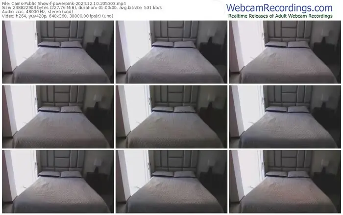 2024/12/10/cams-powerpink-20-53-03