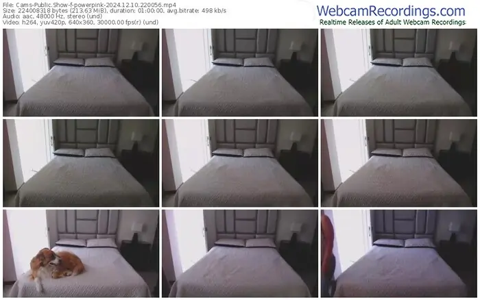 2024/12/10/cams-powerpink-22-00-56