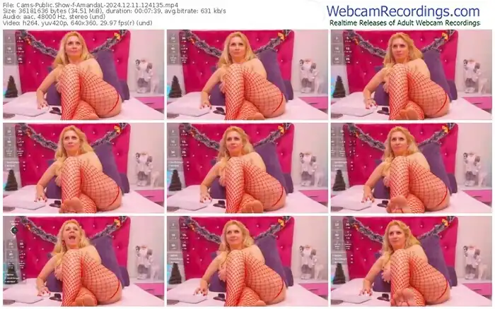 2024/12/11/cams-amandal-12-41-35