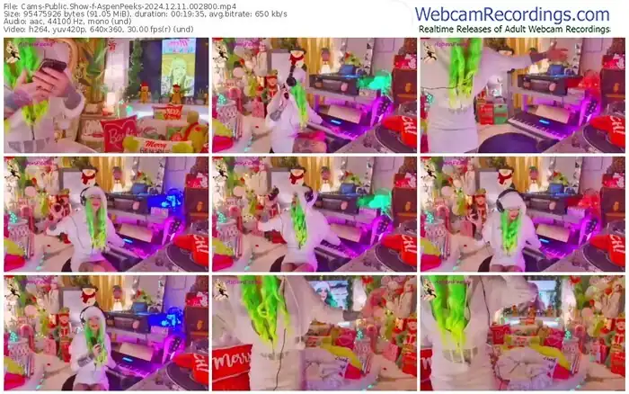 2024/12/11/cams-aspenpeeks-00-28-00