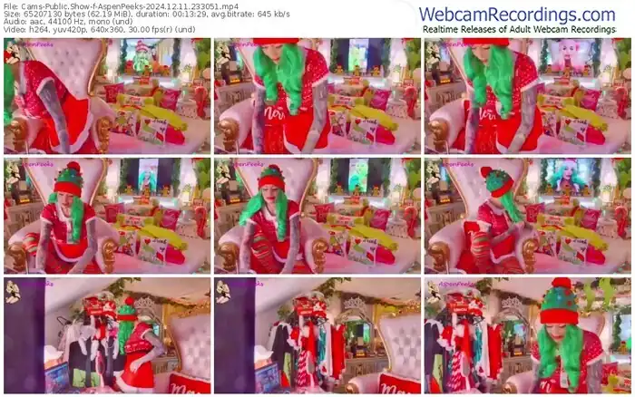 2024/12/11/cams-aspenpeeks-23-30-51