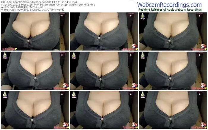 2024/12/11/cams-freshpeach-21-34-51