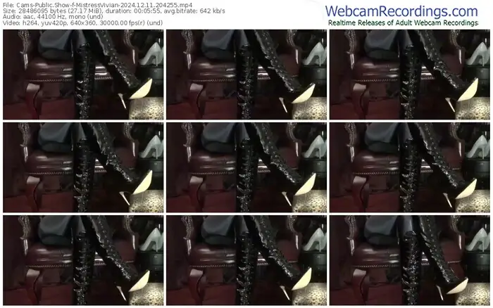 2024/12/11/cams-mistressvivian-20-42-55